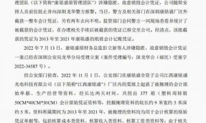 荒坡上的5米深坑里，警方挖出377箱会计资料！涉事上市公司最新公告，多人被罚款