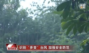 台风为什么会多次登陆？如何判断台风远离？专家解答